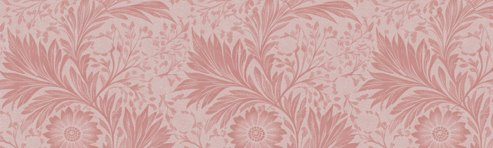 ZEYN women's ritual refills collection banner