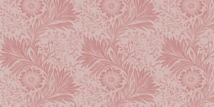 ZEYN women's ritual refills collection banner