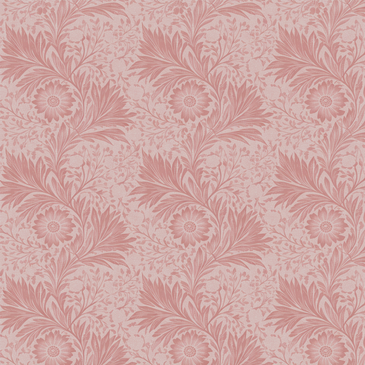 ZEYN women's ritual refills collection banner