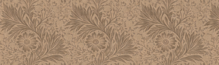 ZEYN men’s ritual refills collection banner