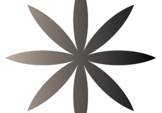 AzharMusk-Zeyn-Box.png